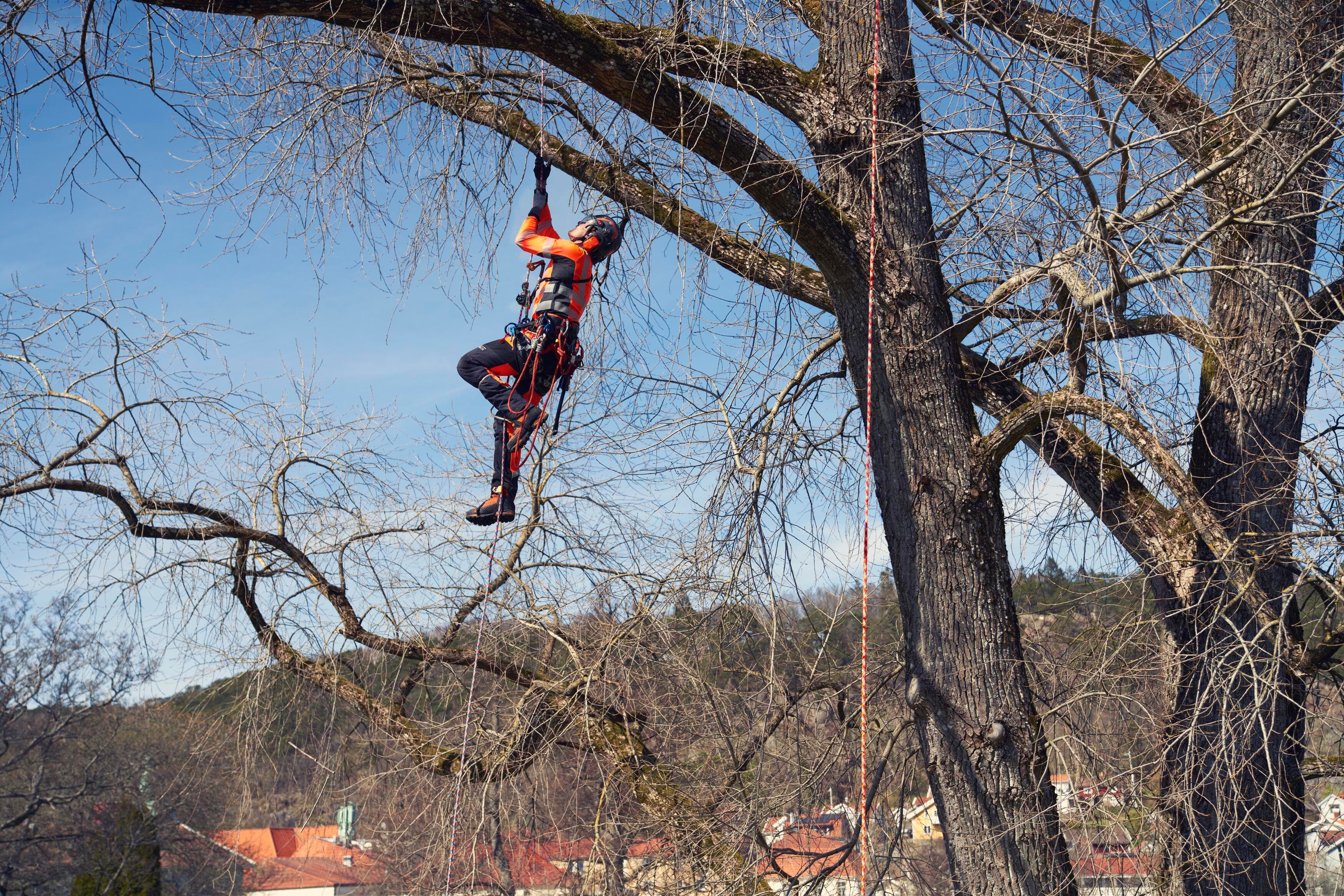 Climbing rope, 11.8 mm image 3